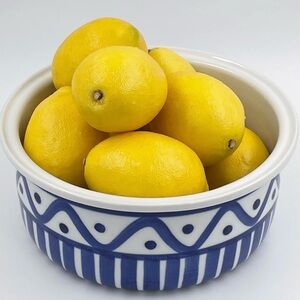 Dansk Arabesque Ceramic Soufflé Serving Bowl Blue & White 8.75”in Vintage 90s